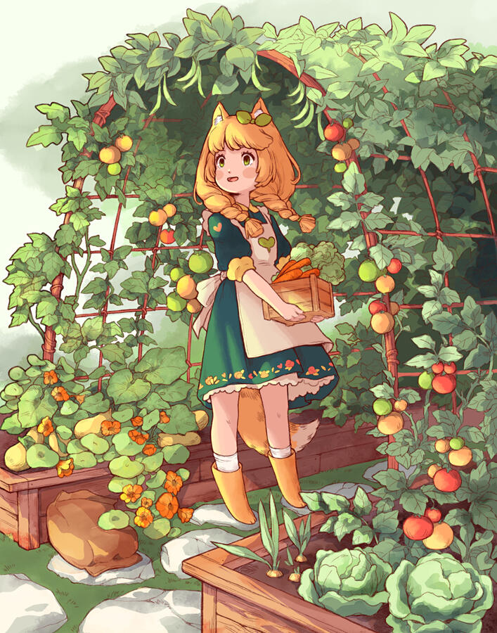 tomato garden